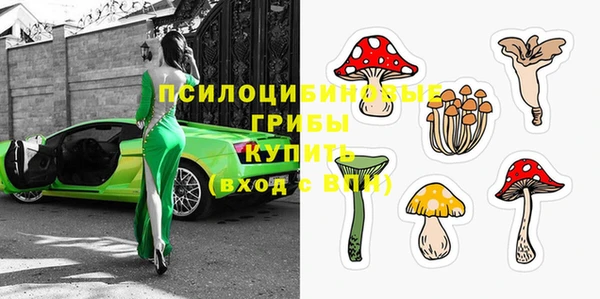 дживик Новокубанск